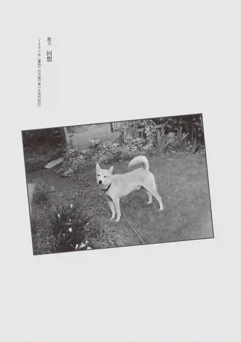 先养狗，然后……养了猫全一卷