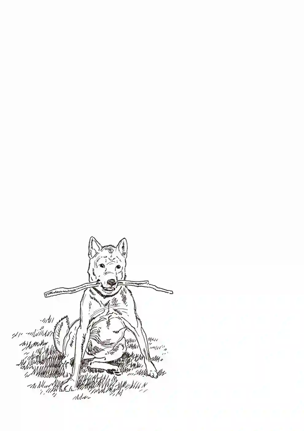 先养狗，然后……养了猫全一卷