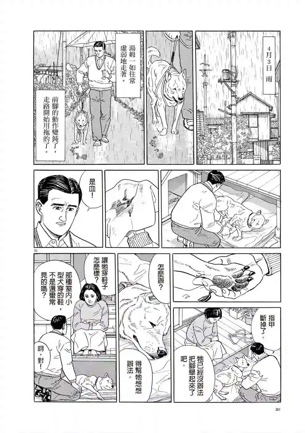 先养狗，然后……养了猫全一卷