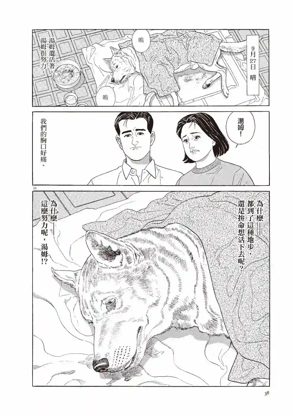 先养狗，然后……养了猫全一卷