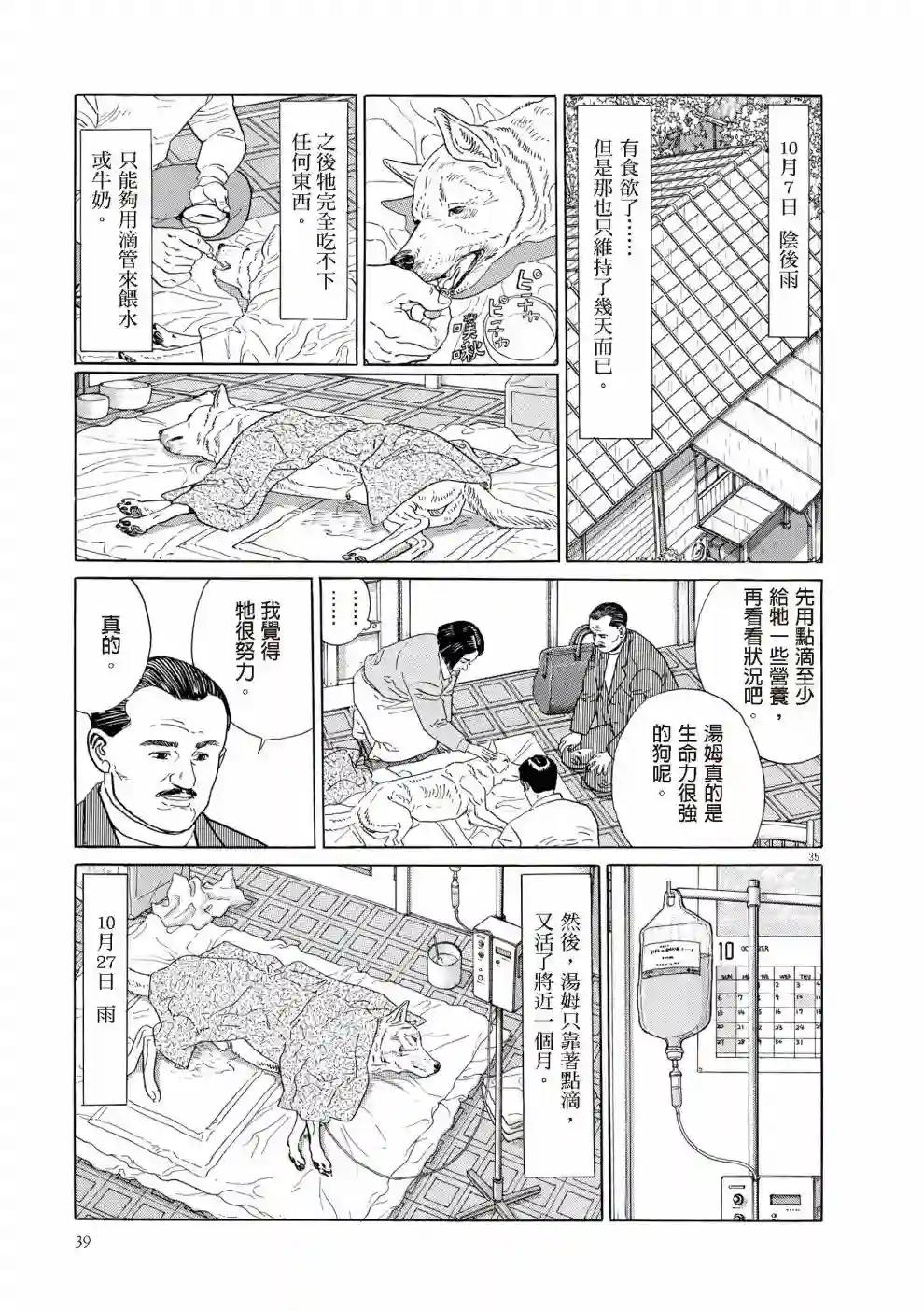 先养狗，然后……养了猫全一卷