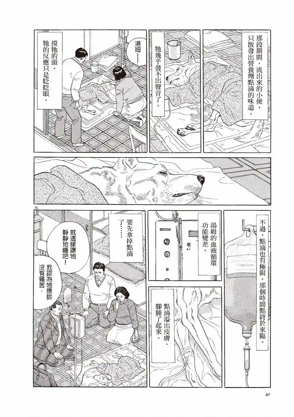 先养狗，然后……养了猫全一卷