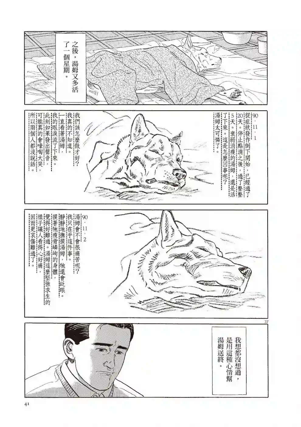 先养狗，然后……养了猫全一卷