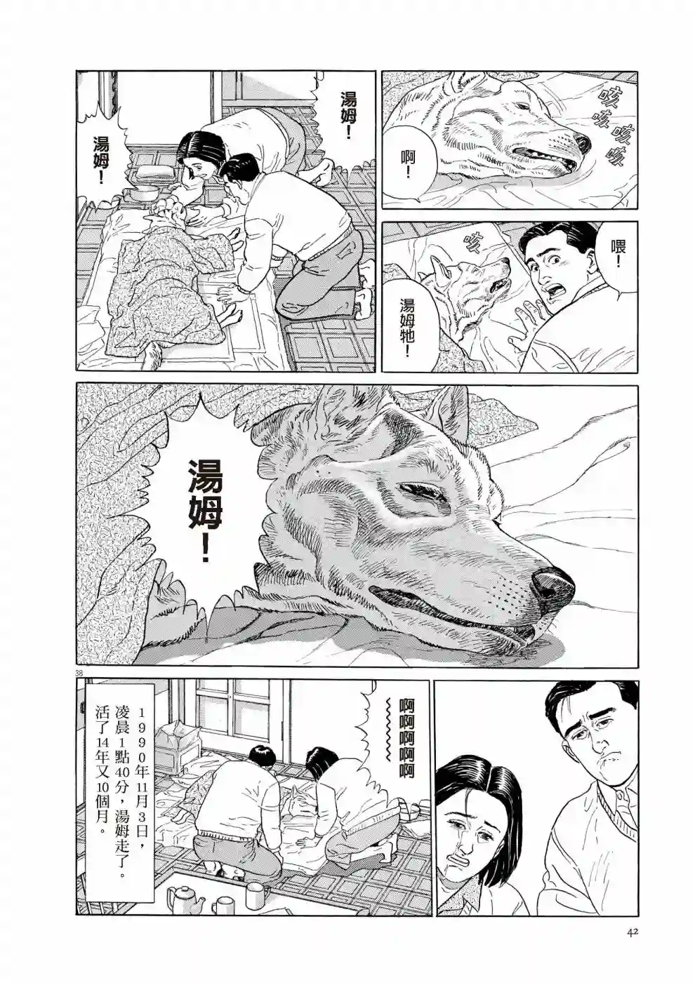 先养狗，然后……养了猫全一卷