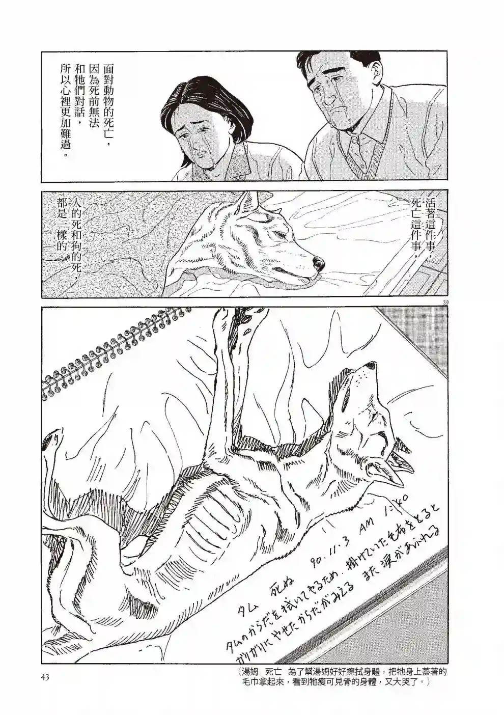 先养狗，然后……养了猫全一卷