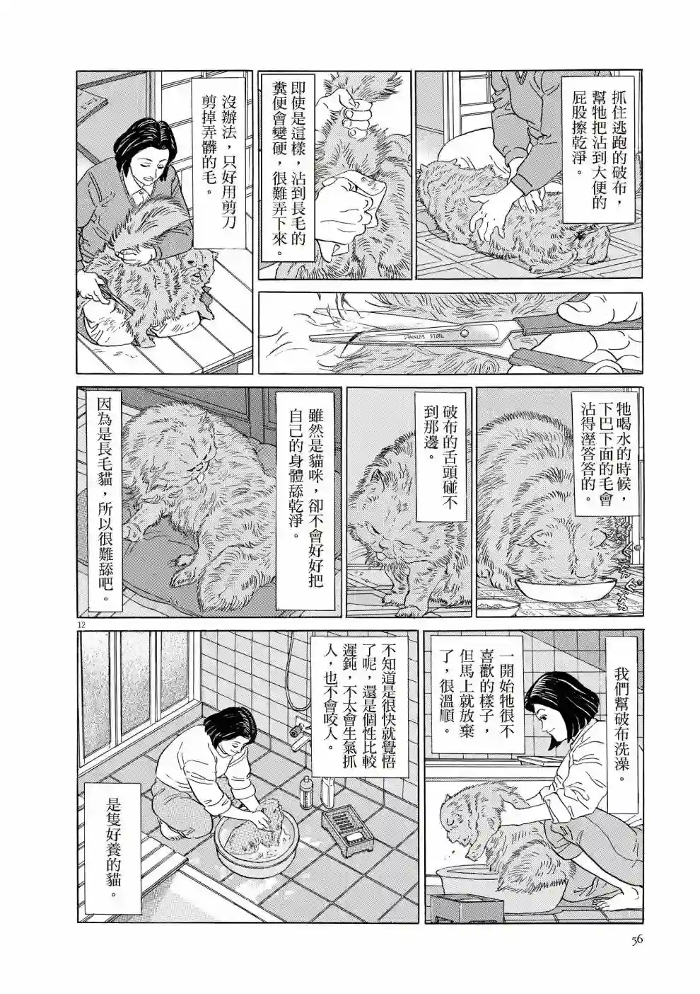 先养狗，然后……养了猫全一卷