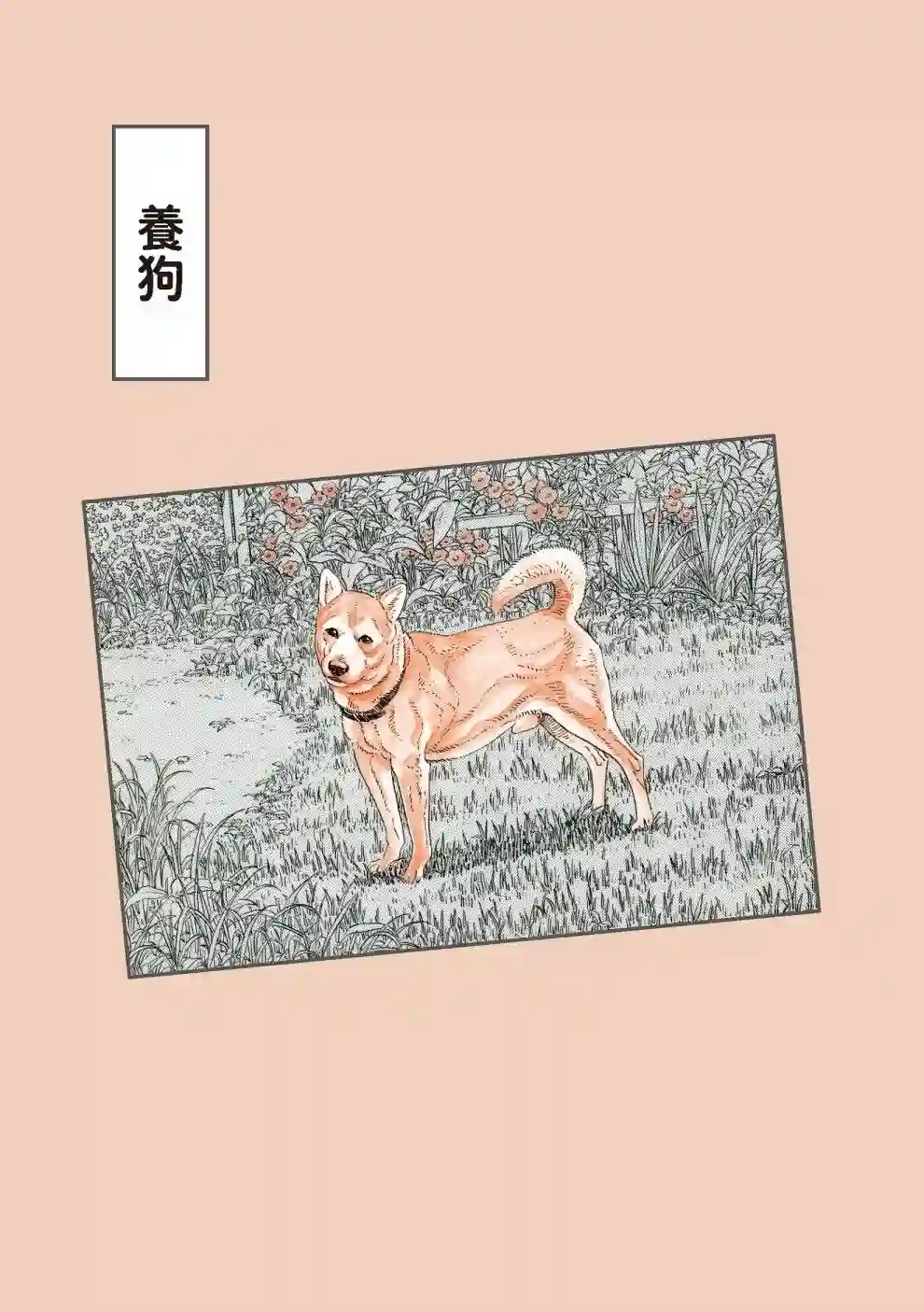 先养狗，然后……养了猫全一卷