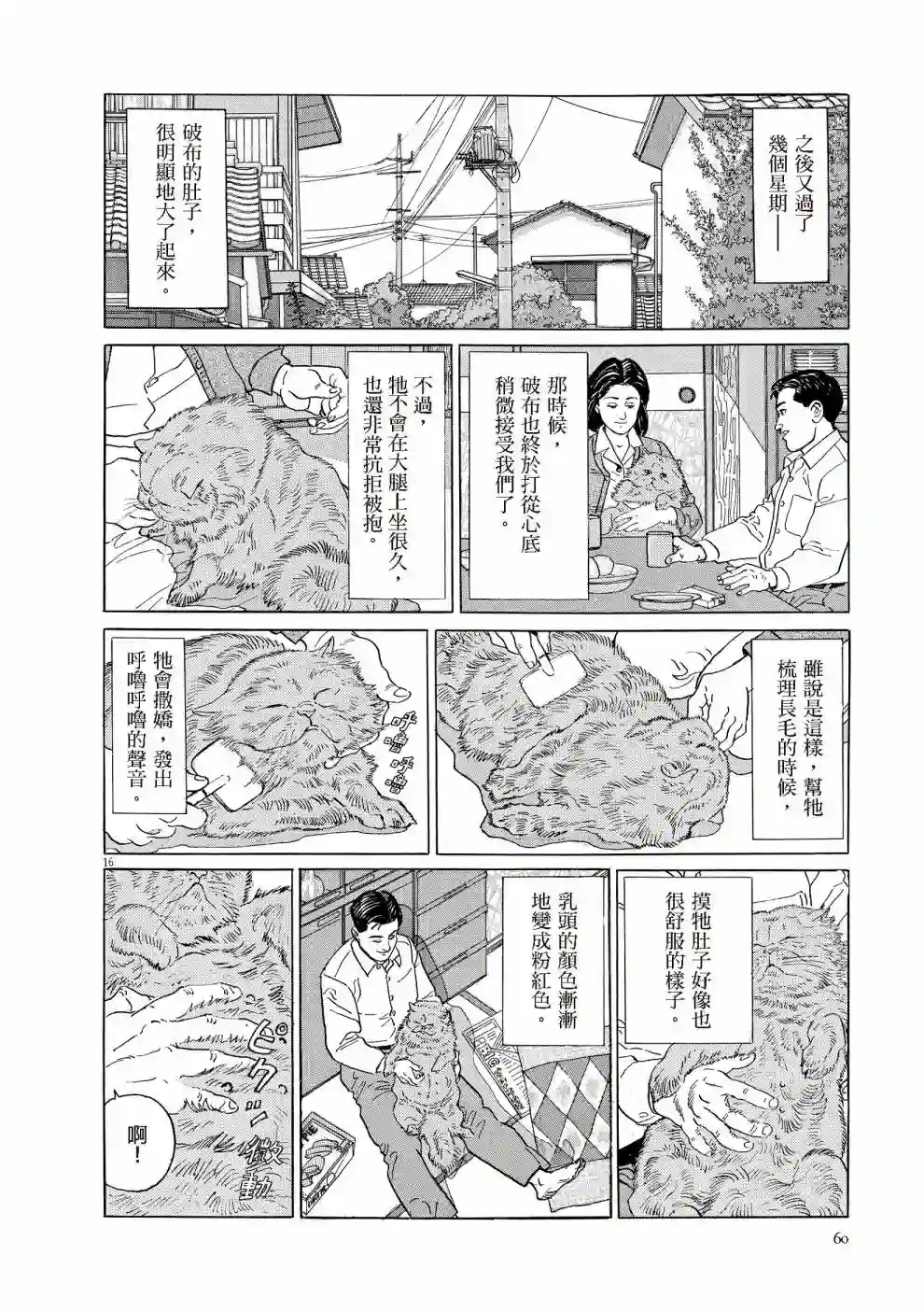 先养狗，然后……养了猫全一卷