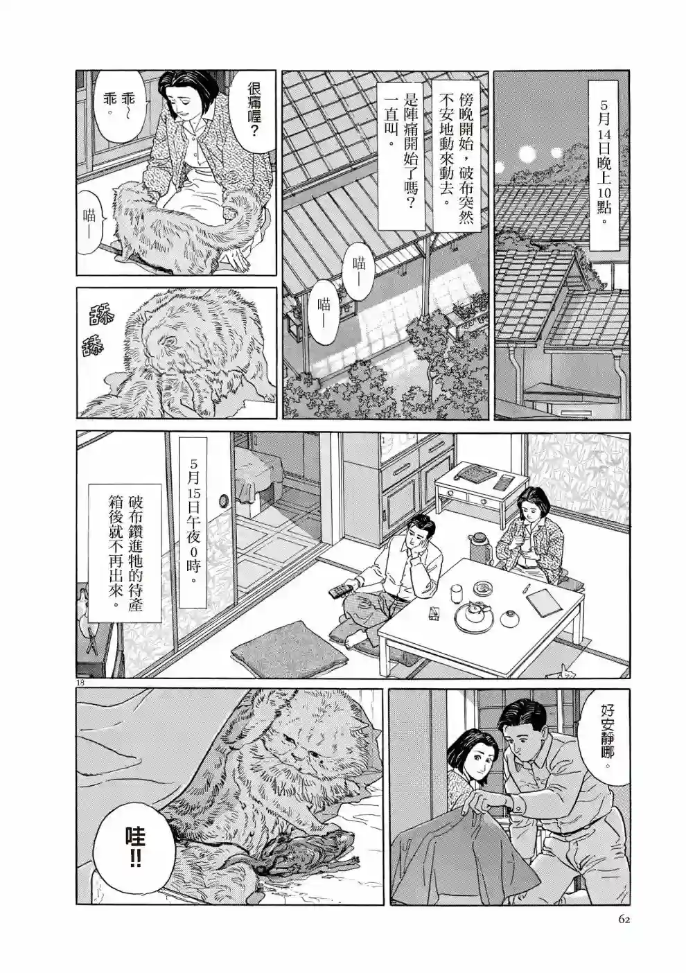 先养狗，然后……养了猫全一卷