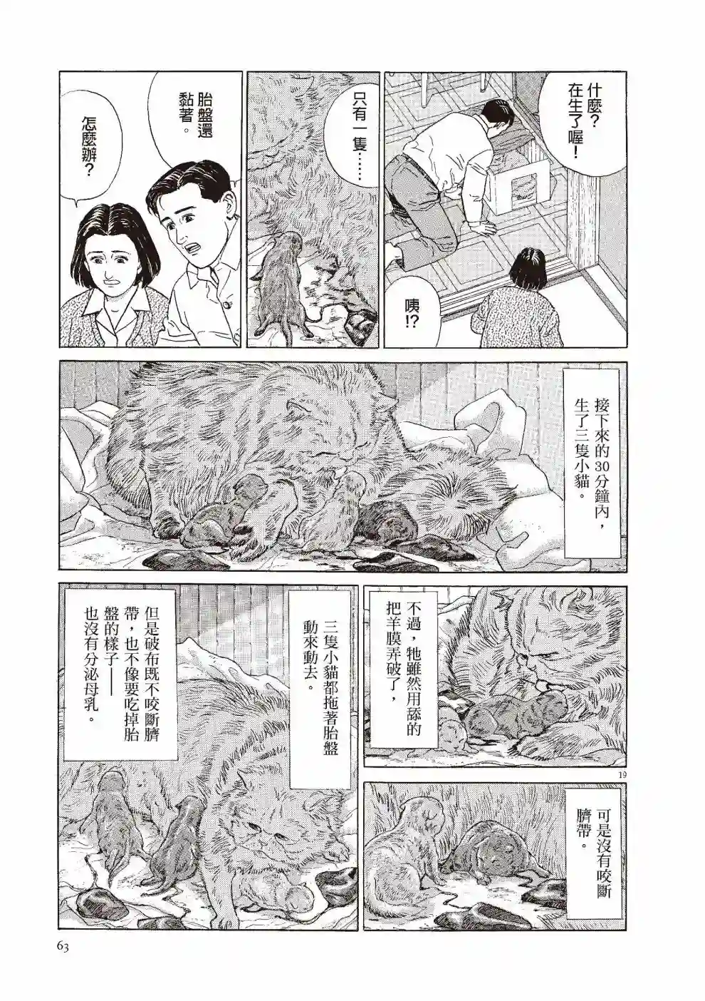 先养狗，然后……养了猫全一卷