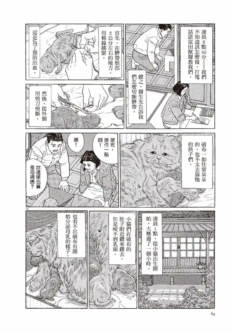 先养狗，然后……养了猫全一卷