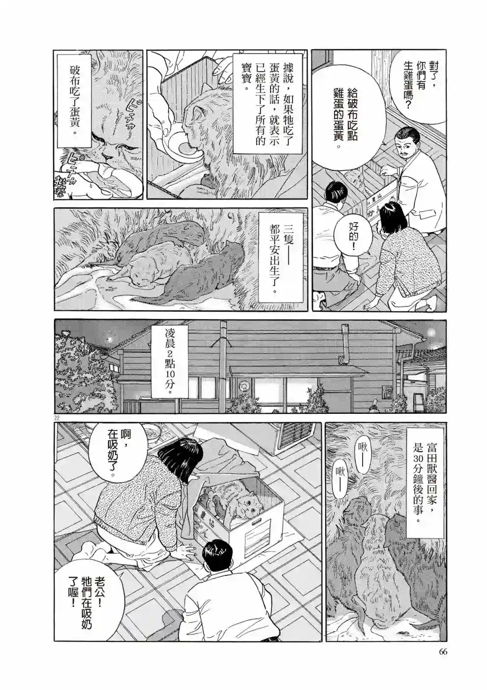 先养狗，然后……养了猫全一卷