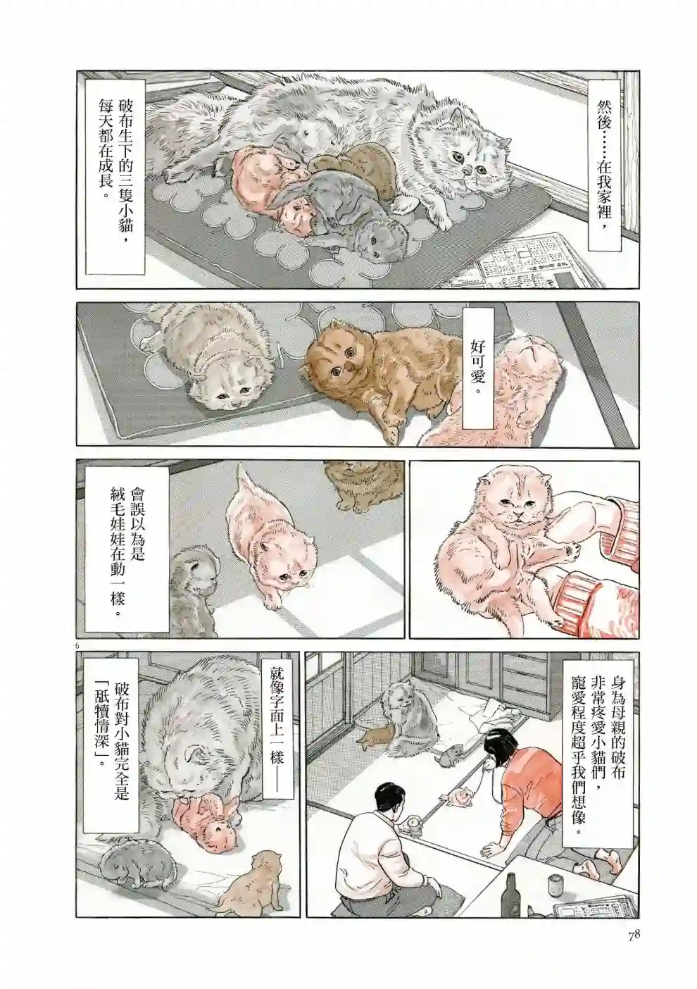 先养狗，然后……养了猫全一卷