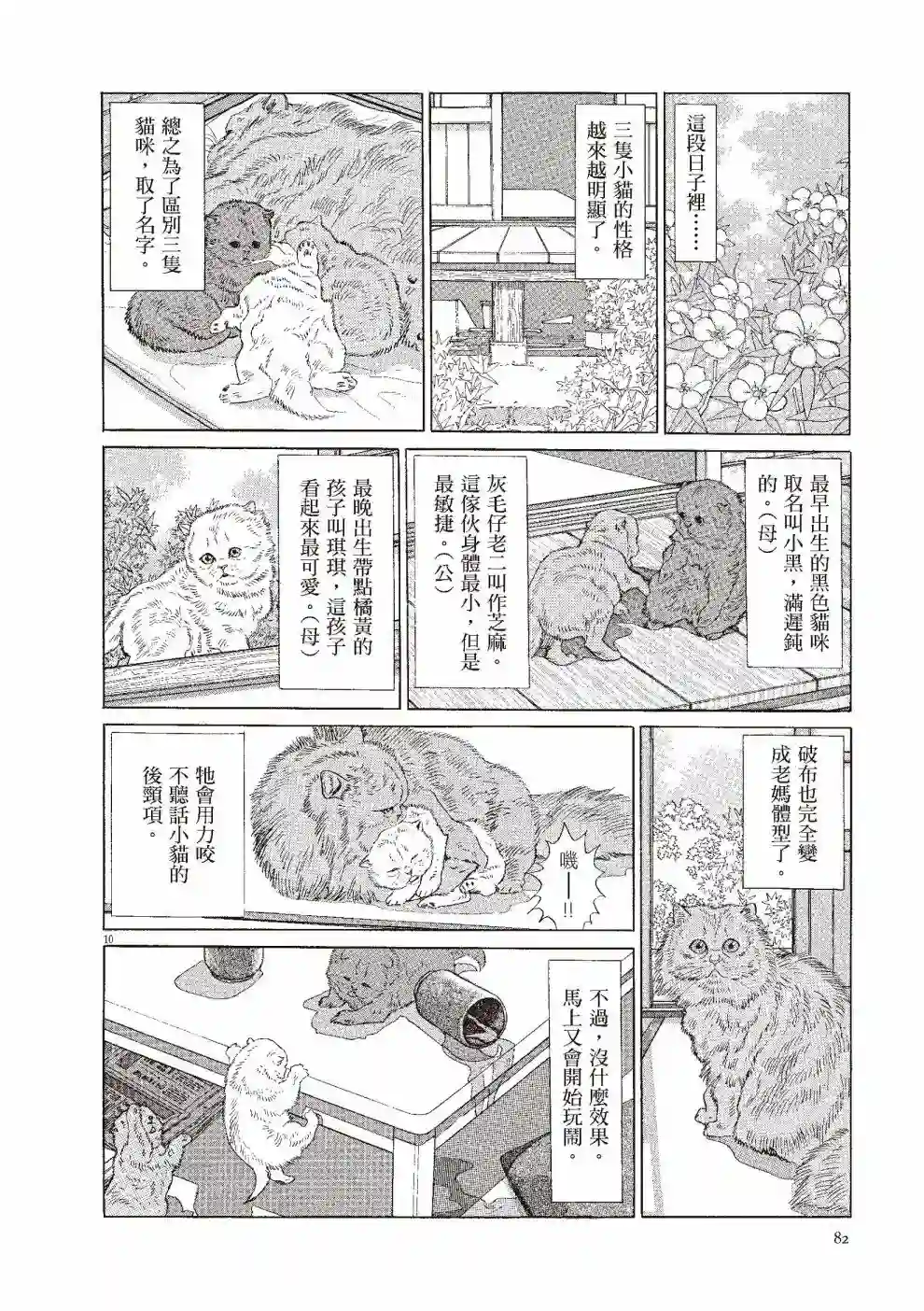 先养狗，然后……养了猫全一卷