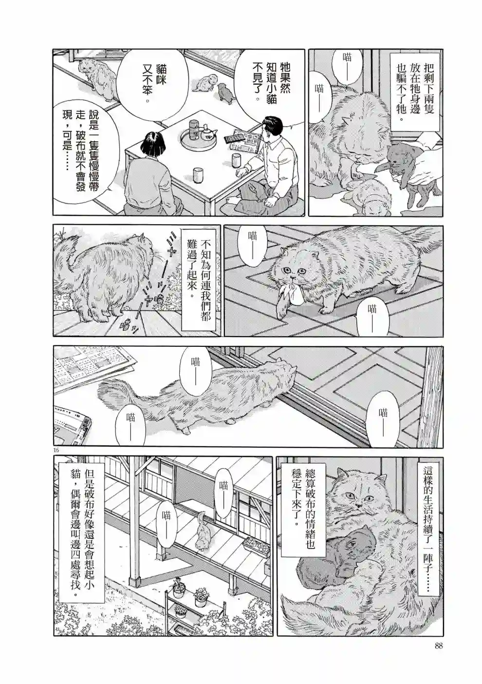 先养狗，然后……养了猫全一卷