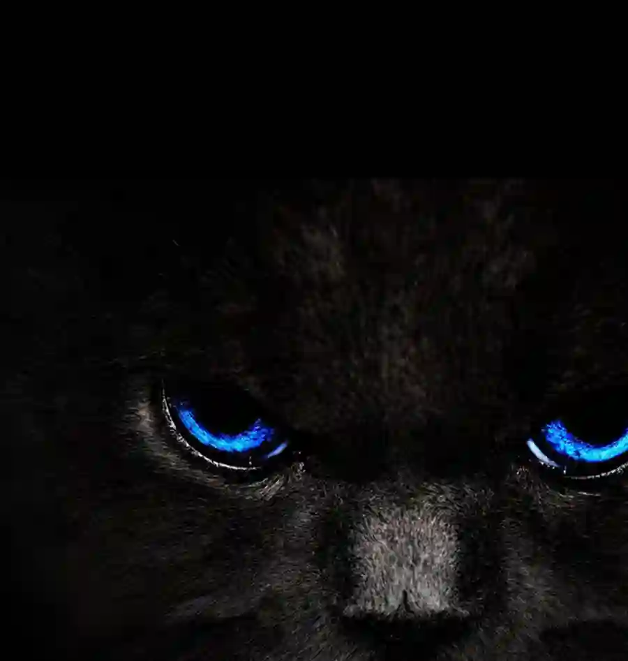 成为夺心魔的必要第41话