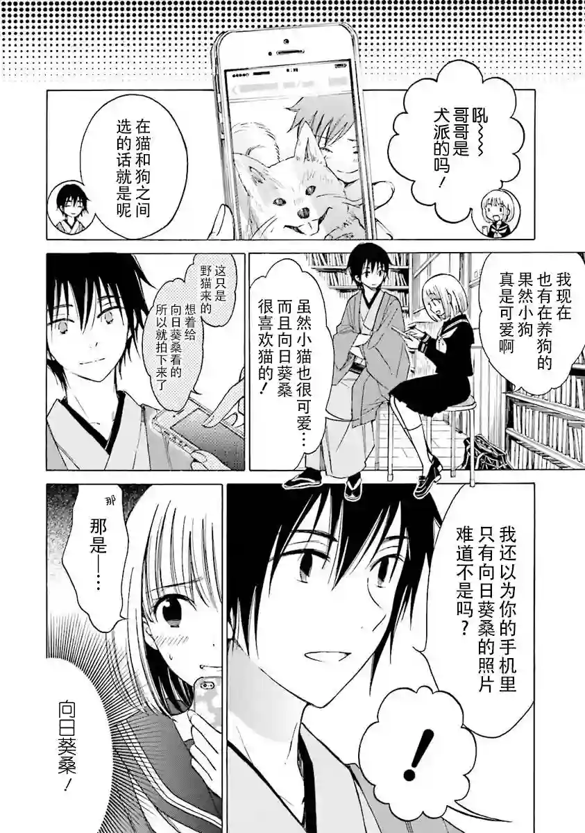 向日葵桑第39话