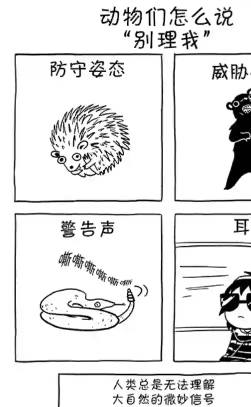 莎拉的涂鸦第68话