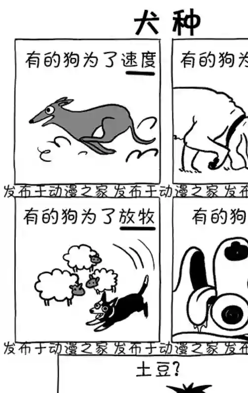 莎拉的涂鸦第118话