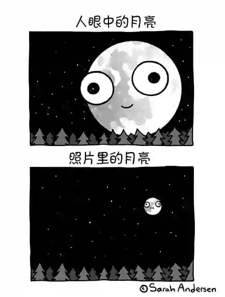 莎拉的涂鸦第147话