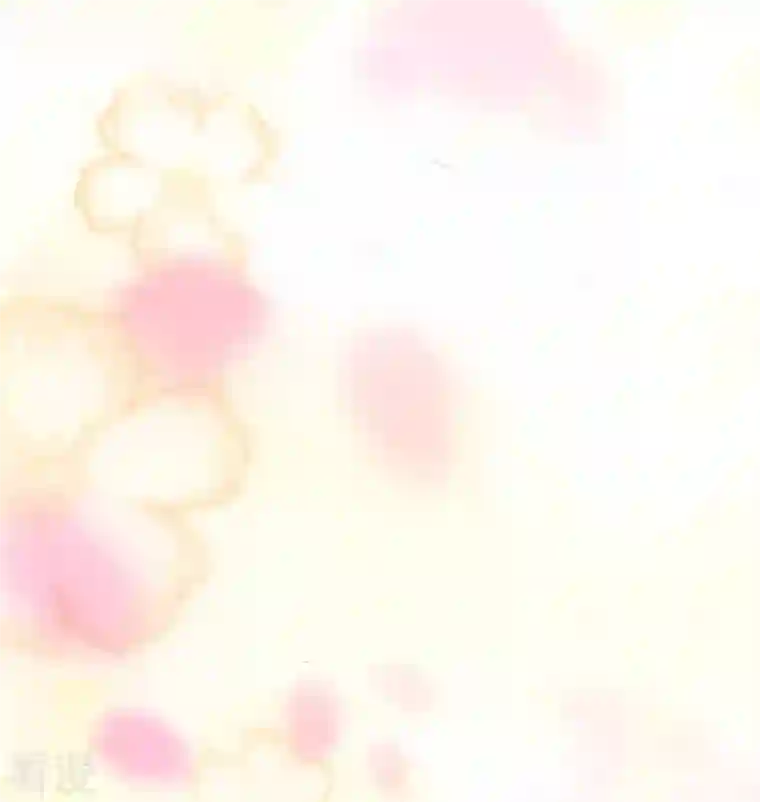 我的守护女友第281话