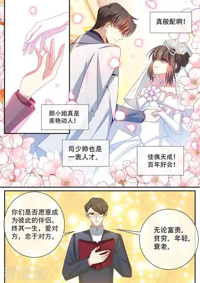 司少你老婆又跑了第437话 新婚之夜