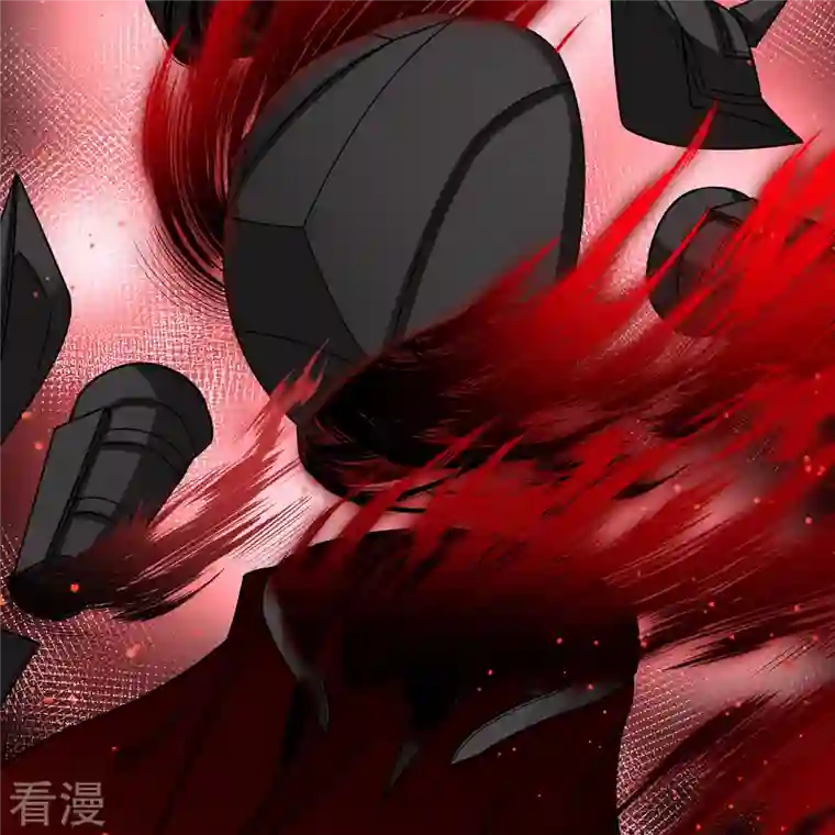 寻找前世之旅第2季第109话 我的骑士3