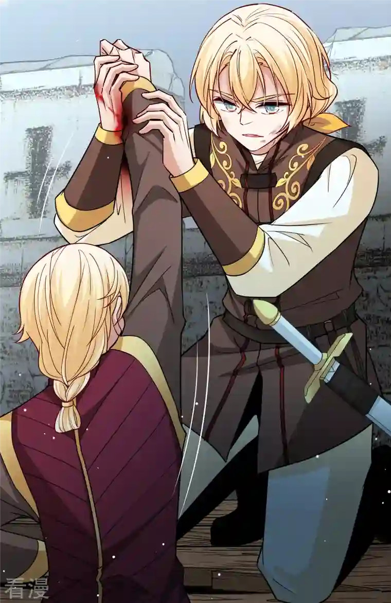 寻找前世之旅第2季第110话 我的骑士4