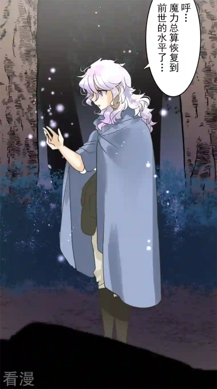 他和她的魔法契约第216话 过去篇30