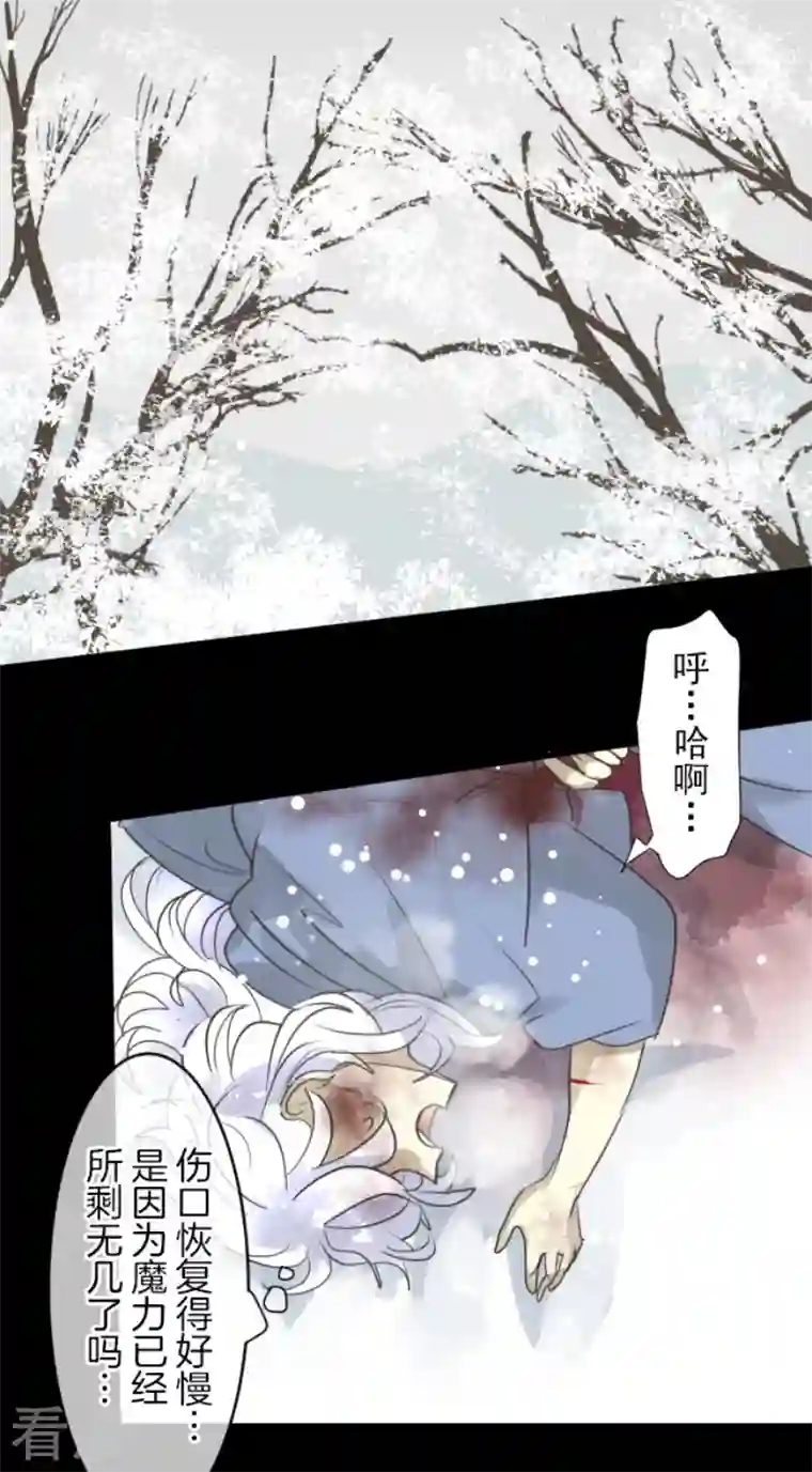 他和她的魔法契约第216话 过去篇30