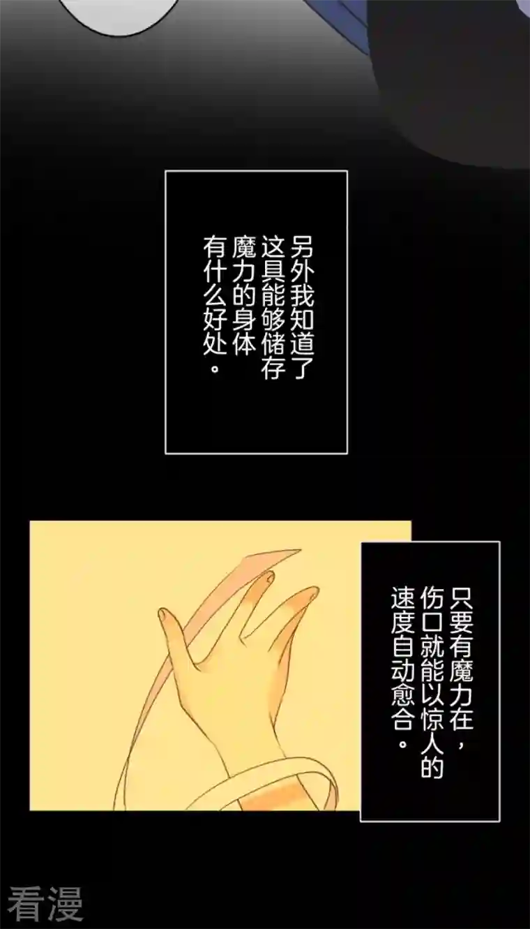 他和她的魔法契约第216话 过去篇30