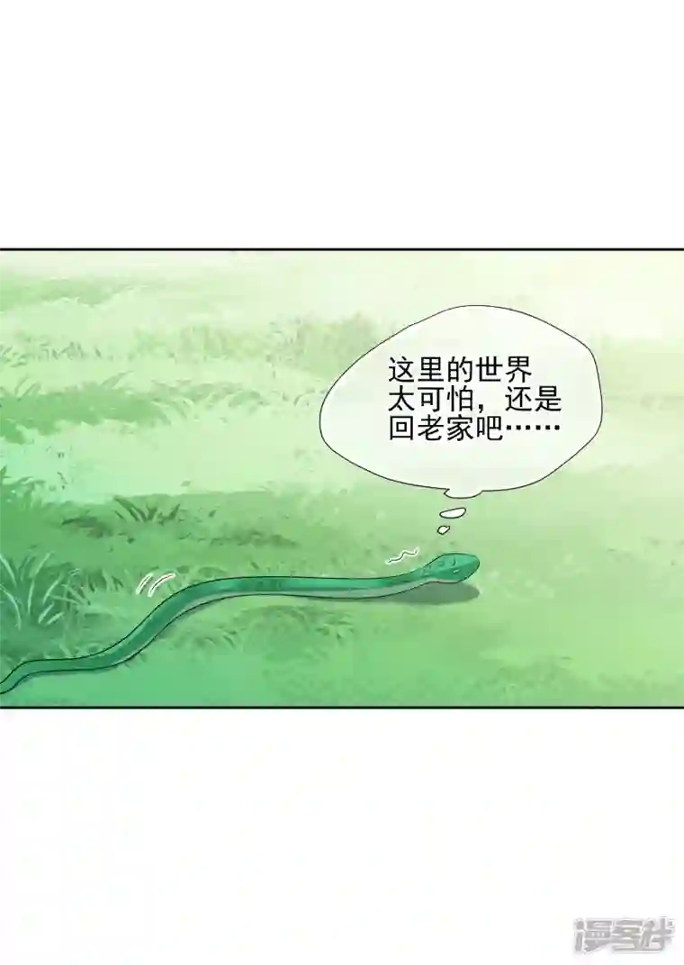 妃夕妍雪第2季第41话 轻眉？青梅！3