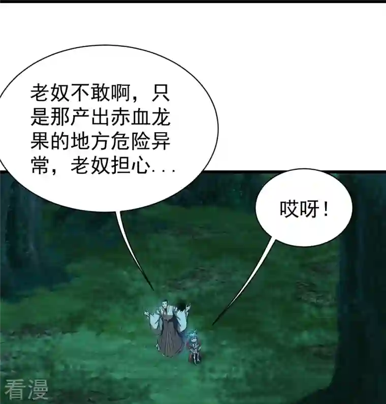 盖世帝尊第242话 迷雾森林！