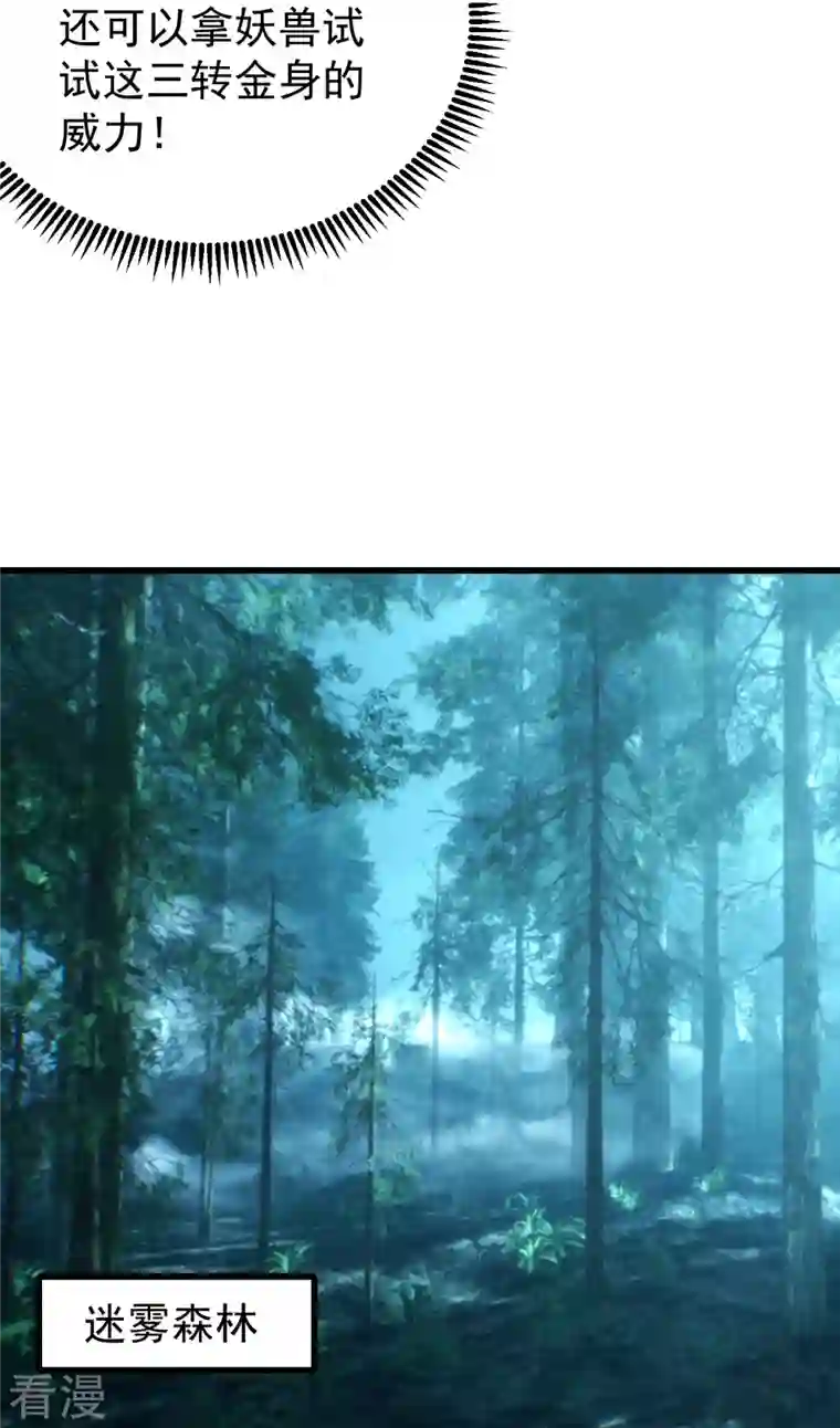 盖世帝尊第242话 迷雾森林！
