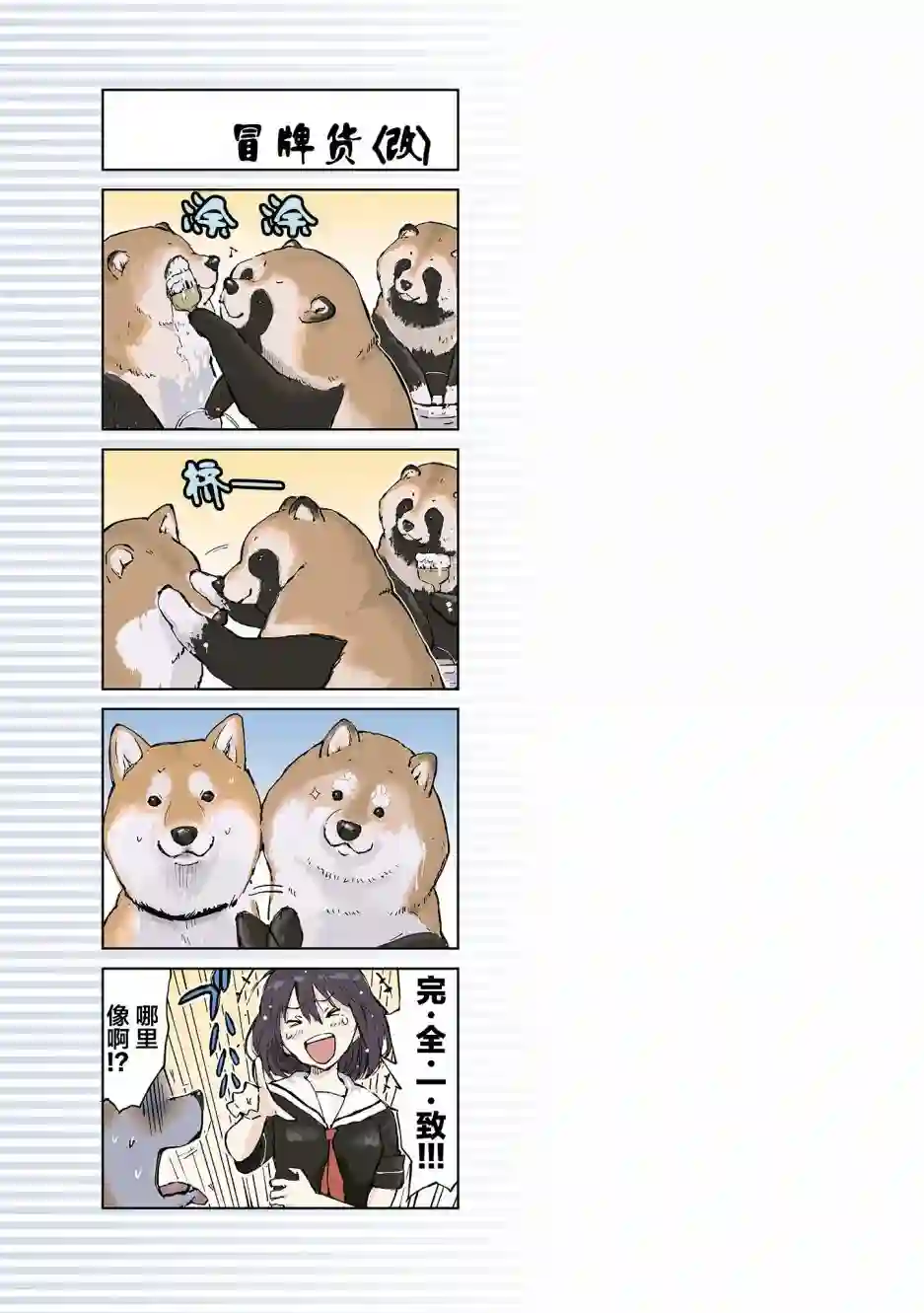 世界末日柴犬为伴第07话