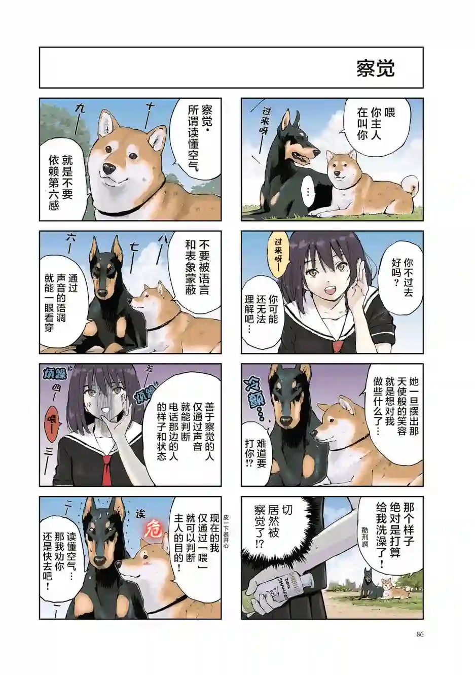 世界末日柴犬为伴第12话