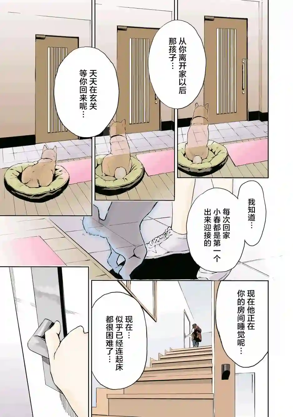 世界末日柴犬为伴第15话