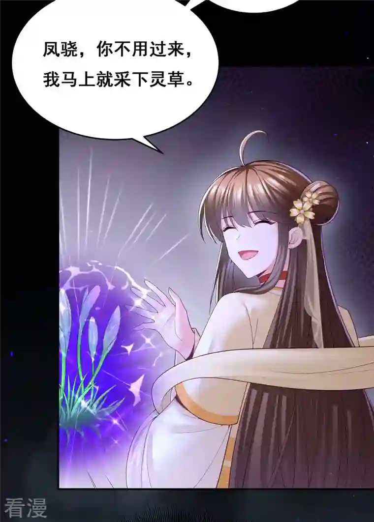我在后宫当大佬第146话 摘得仙草