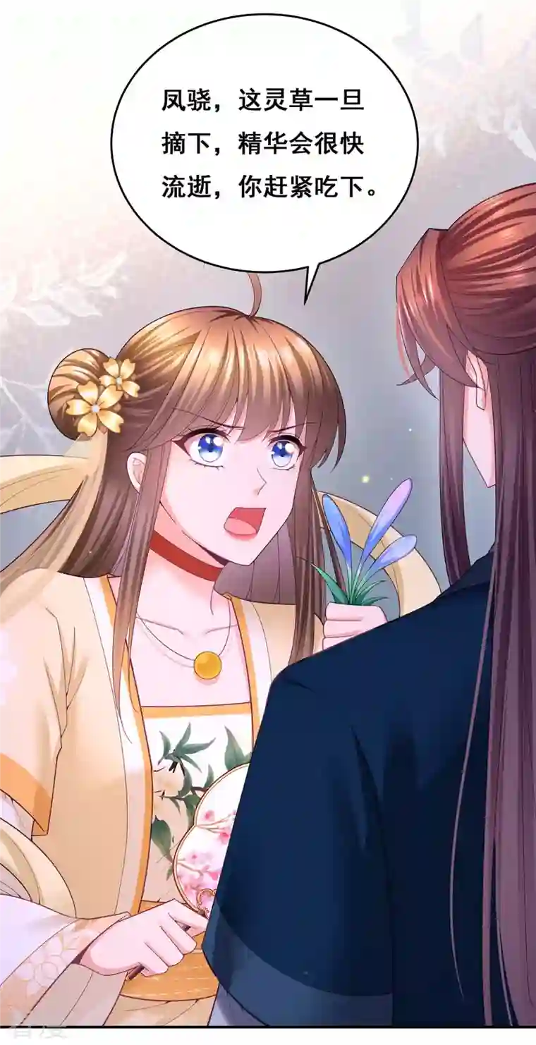 我在后宫当大佬第146话 摘得仙草