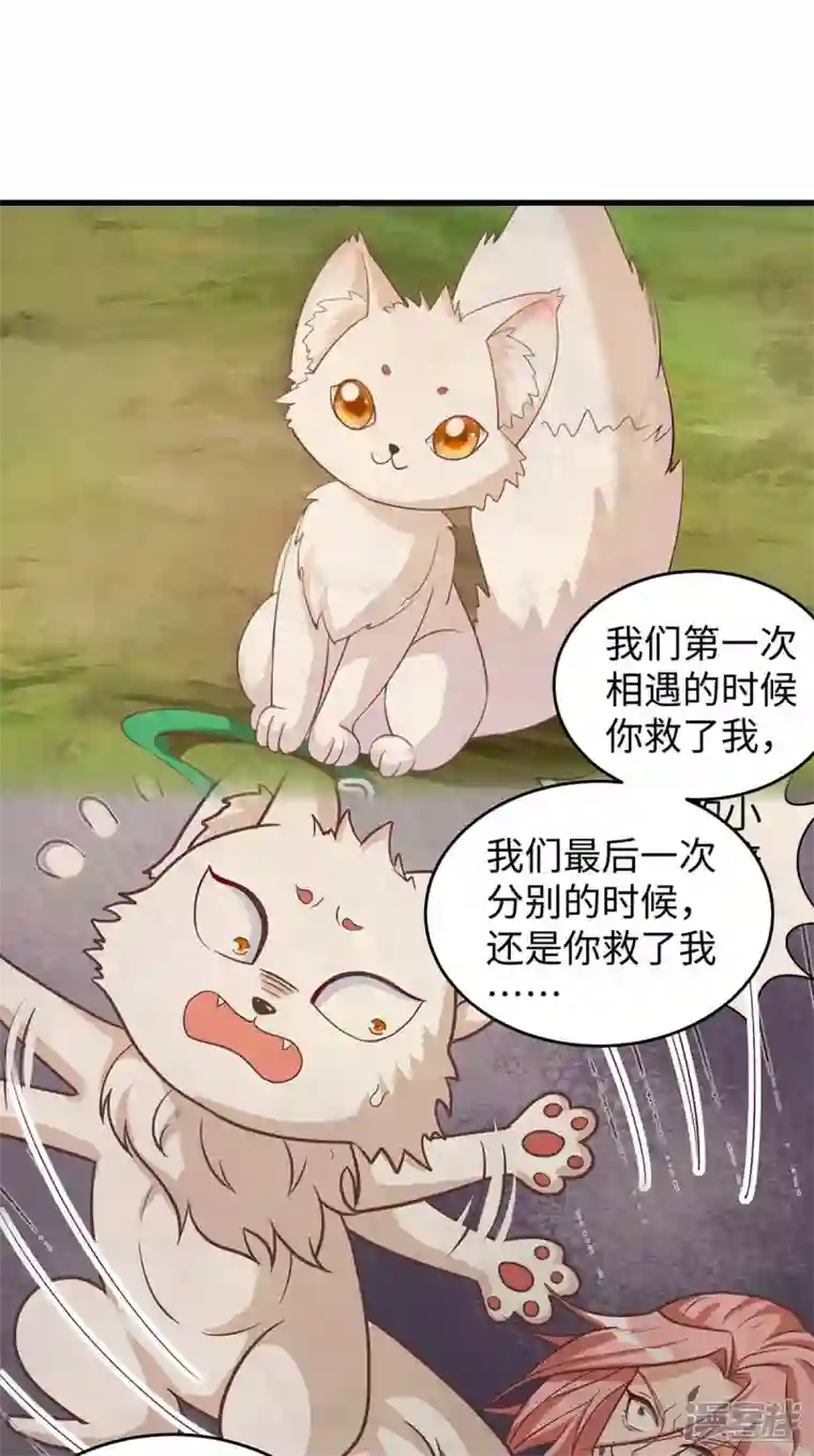 兽世狂妃：不当异界女海王第77话 是我害死了你