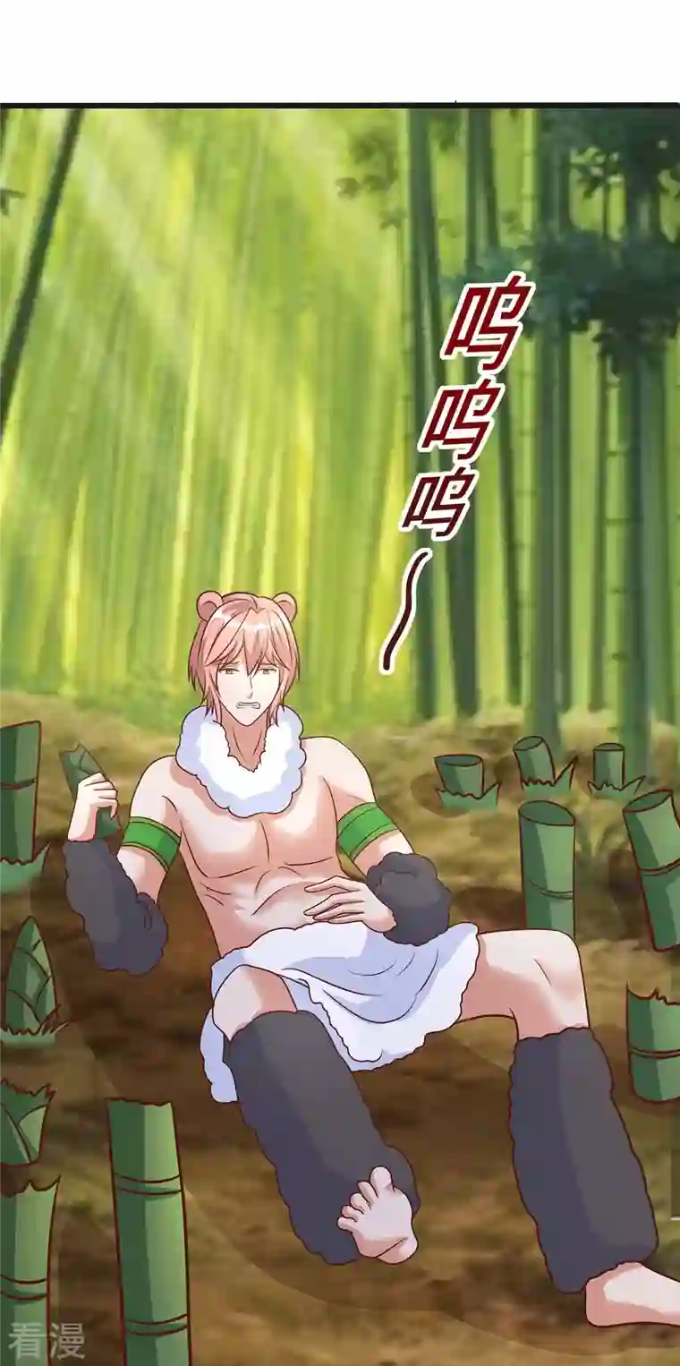 兽世狂妃：不当异界女海王第80话 熊猫族