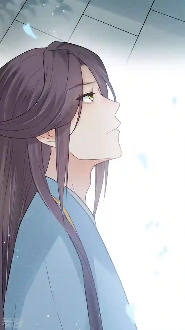 长相思第73话 身份