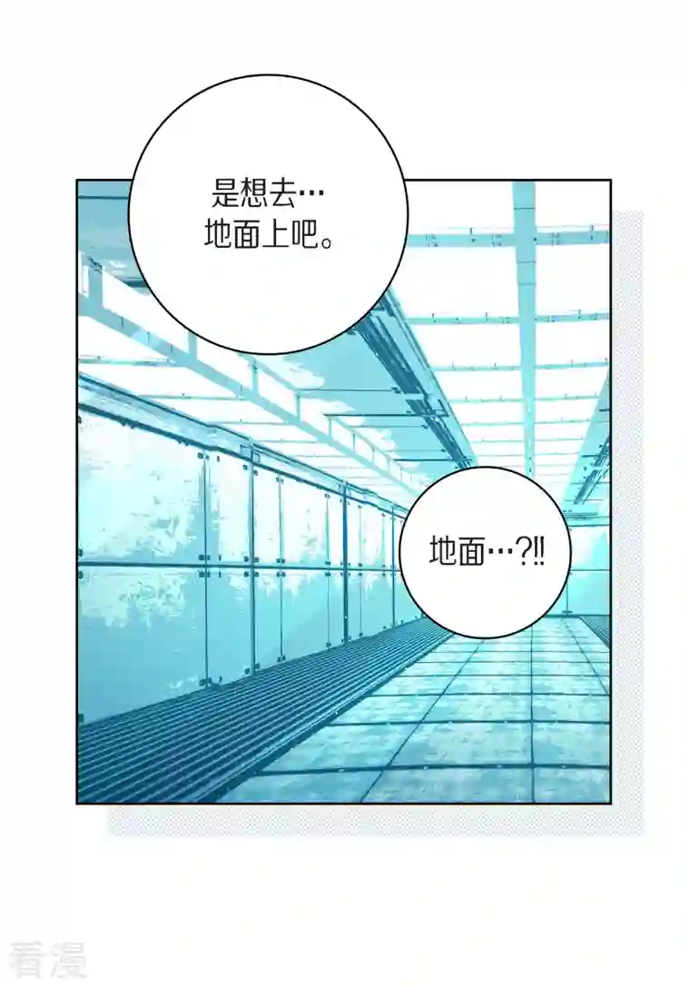 献给心脏第83话 地下世界