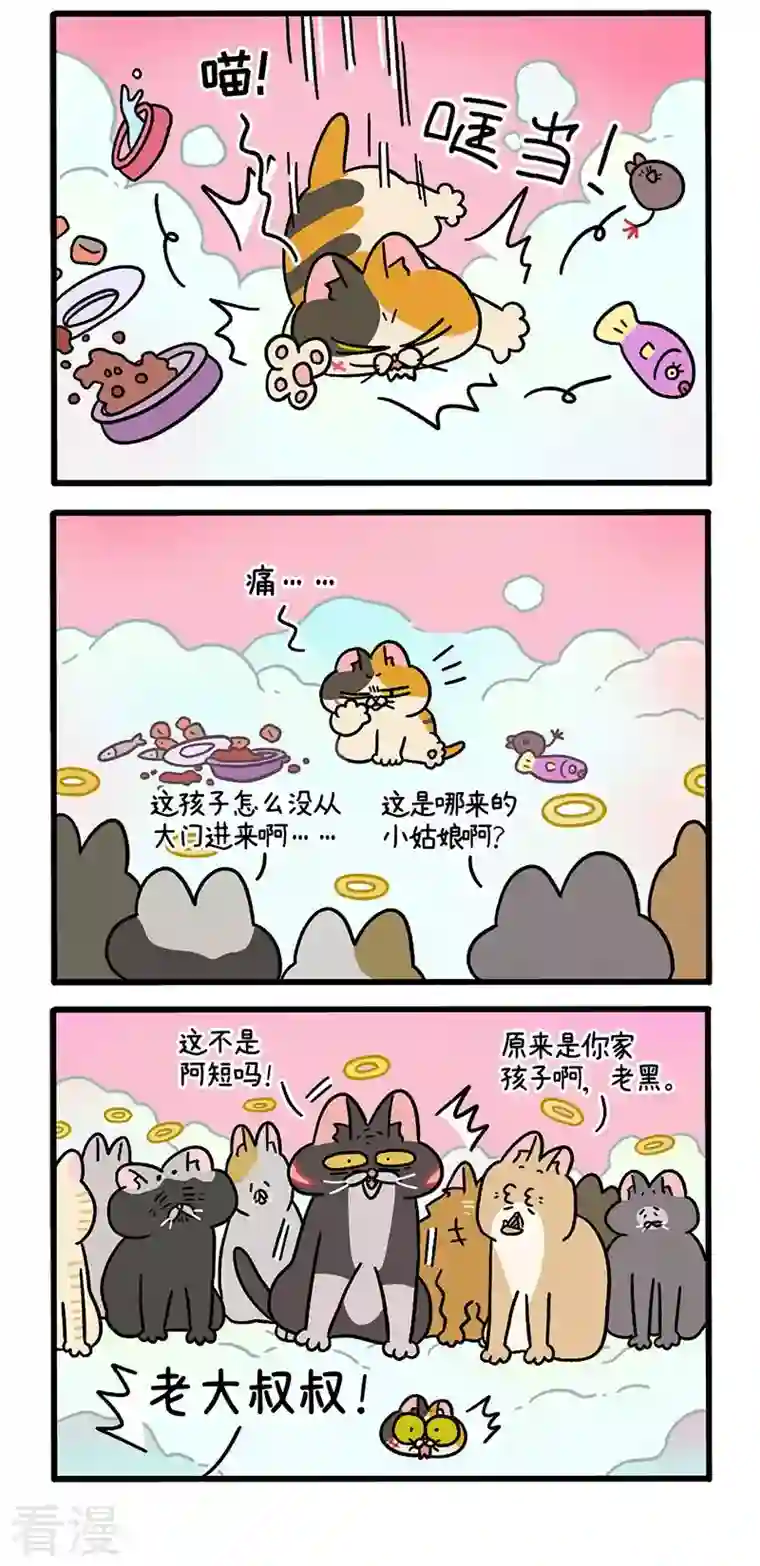 阿满和麦茶番外13上 元旦奇遇