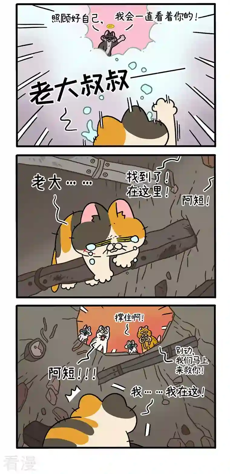 阿满和麦茶番外13下 元旦奇遇