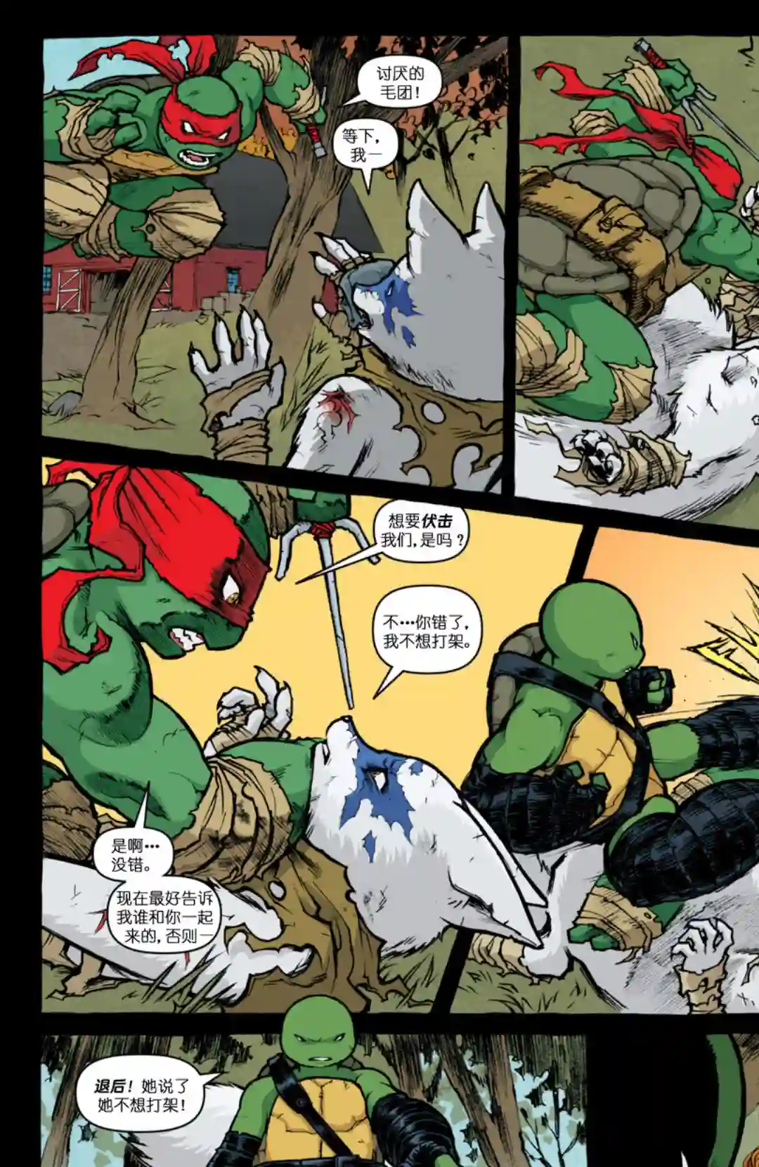 忍者神龟2011第29卷