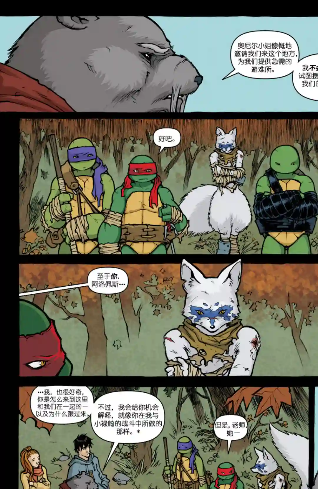 忍者神龟2011第29卷