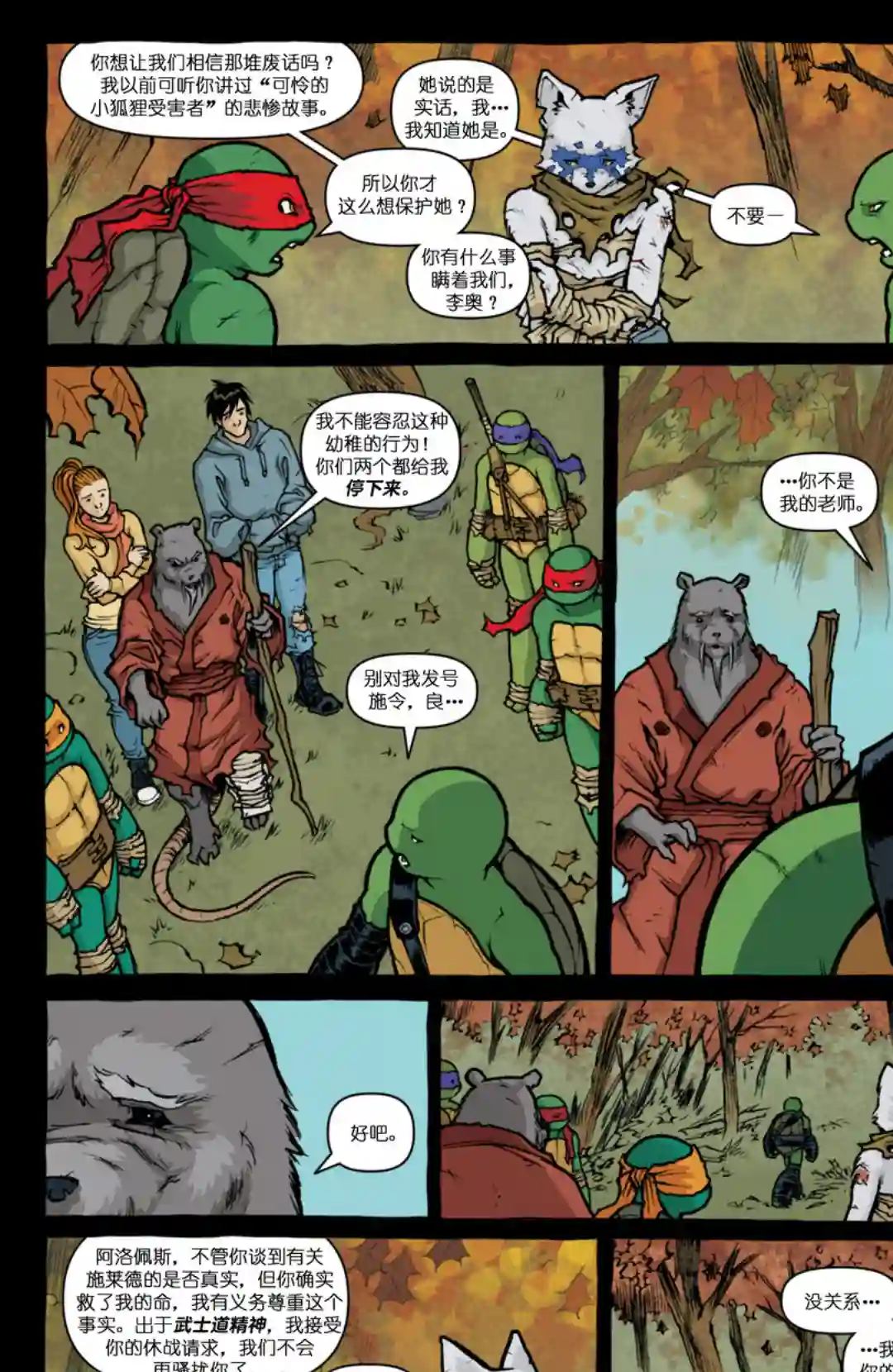 忍者神龟2011第29卷