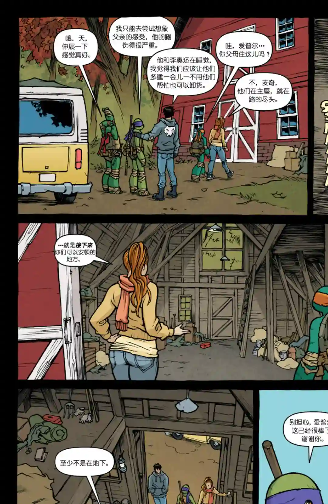 忍者神龟2011第29卷