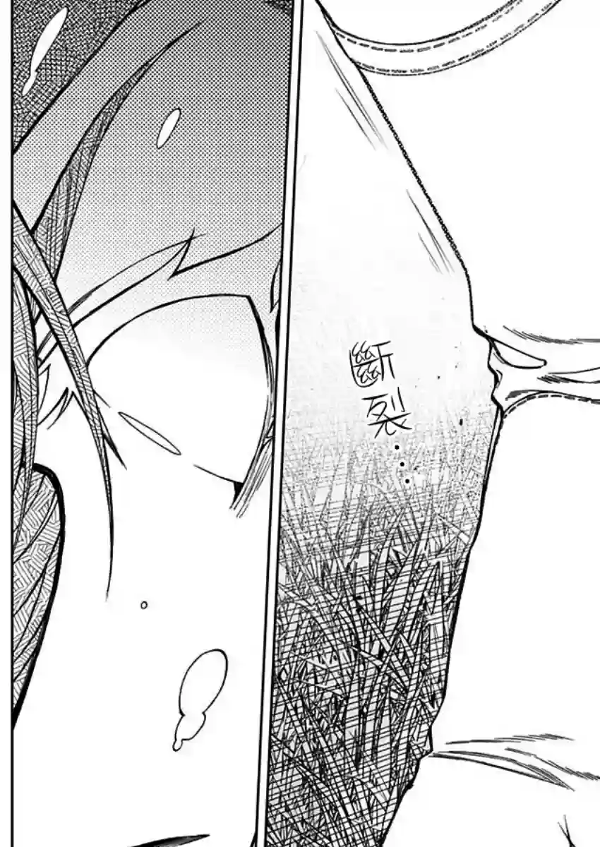 赛马娘：芦毛灰姑娘第56话